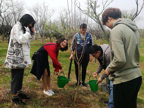流星|冷冬预警：地球步入“大冰期”缓解地球变暖，同时也预警着我们