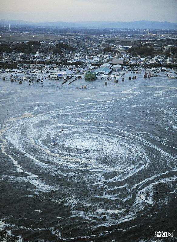 蜘蛛 仔细观察宇宙：每个旋涡里都有不一样的生命规则！