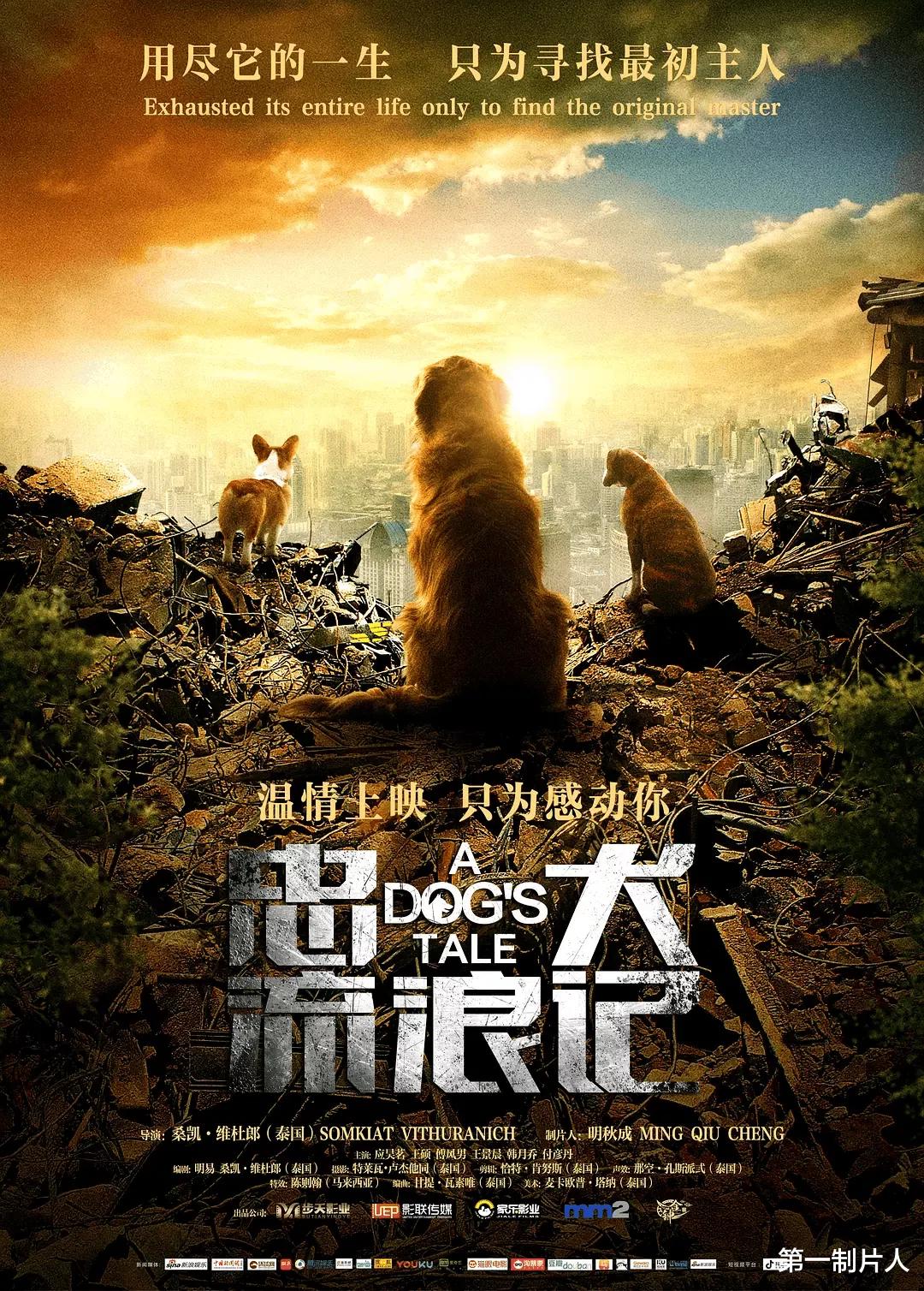 长津湖|暑期档压轴大片全在8月,抗战片《长津湖》备受瞩目