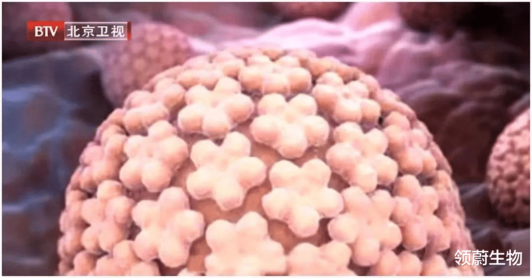 领蔚生物|夫妻双双患癌！这4种“夫妻癌”尤为高发，预防很简单