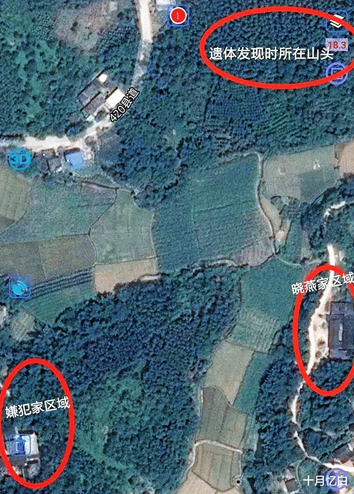 十月忆白 回顾“百香果女孩”被害,10岁女孩天真无邪,为何会招来杀身之祸