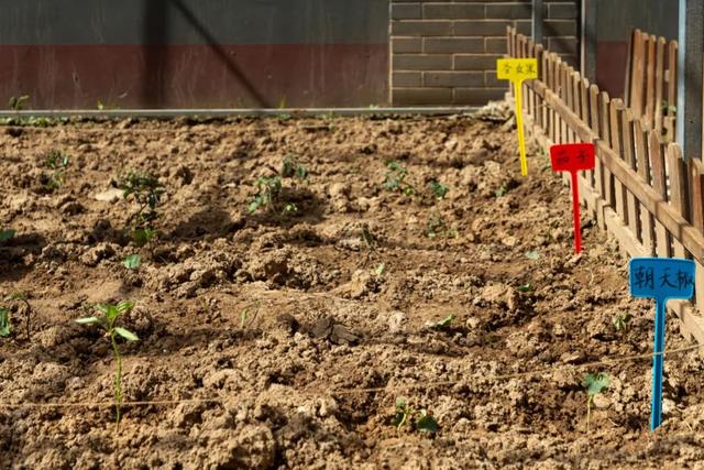 曲江新区 “劳动最光荣！”