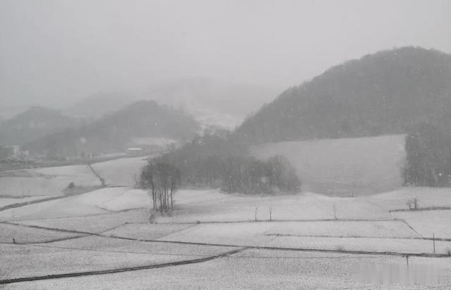 湖北日报视频 湖北这些地方下雪了！接下来的天气要注意……