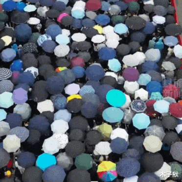 木子默 送别袁隆平,长沙,因为一个人从此爱上这座城