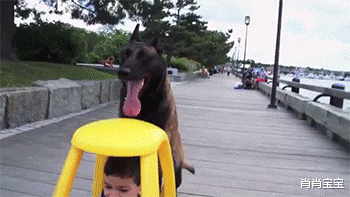 |老婆真不小心,膝盖在办公室都能磕成这样,我都心疼死了!啊哈哈哈