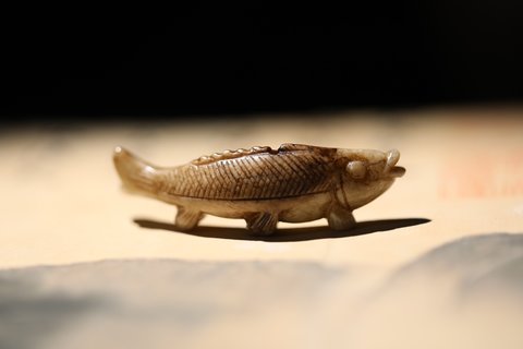 油鱼|清代老提油鱼化龙