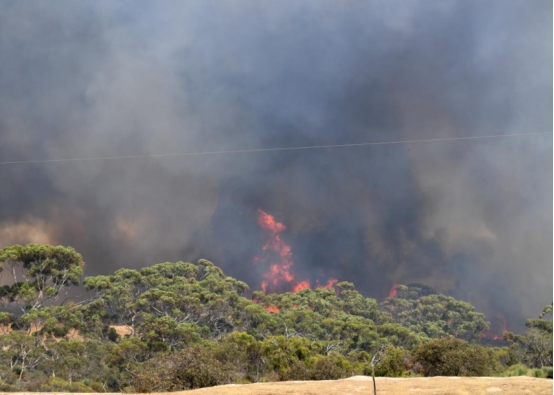 美国|莫里森与美国对着干，看他之前的表现就知道，环保这事他不会听话