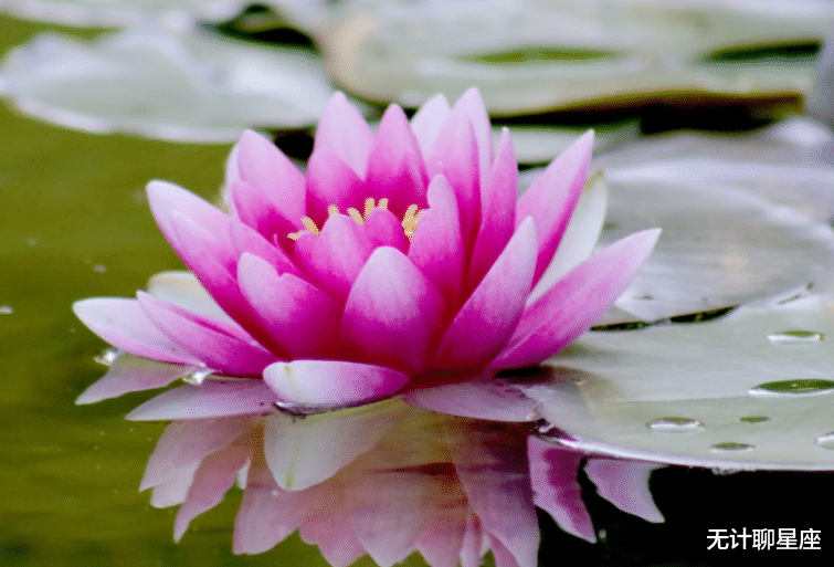 射手座|未来三年，4个星座，贵人上门，帮助自己、充实自己，让你站稳脚跟