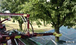 书尽心生|搞笑GIF：还是上学的时候欢乐啊，你们这样玩过吗？