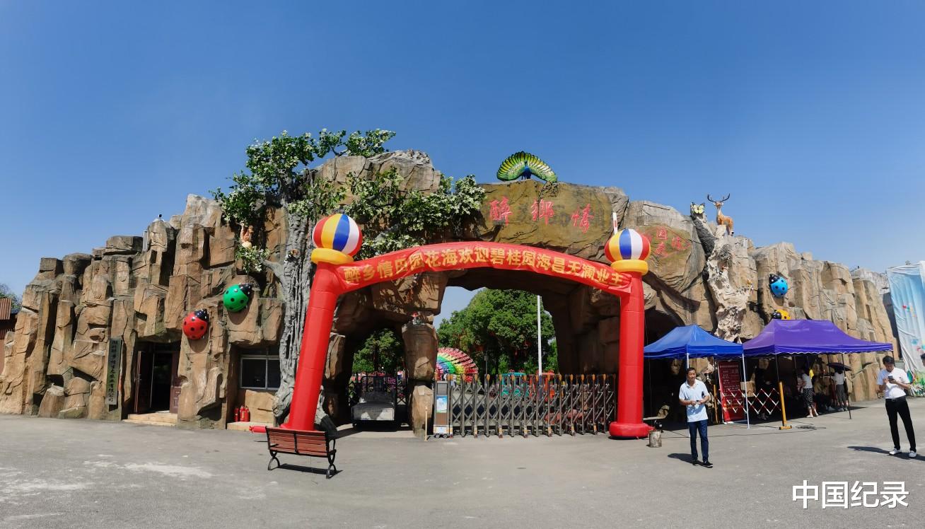 中国纪录 “感恩母亲节”碧桂园海昌天澜物业带“妈妈”游花海