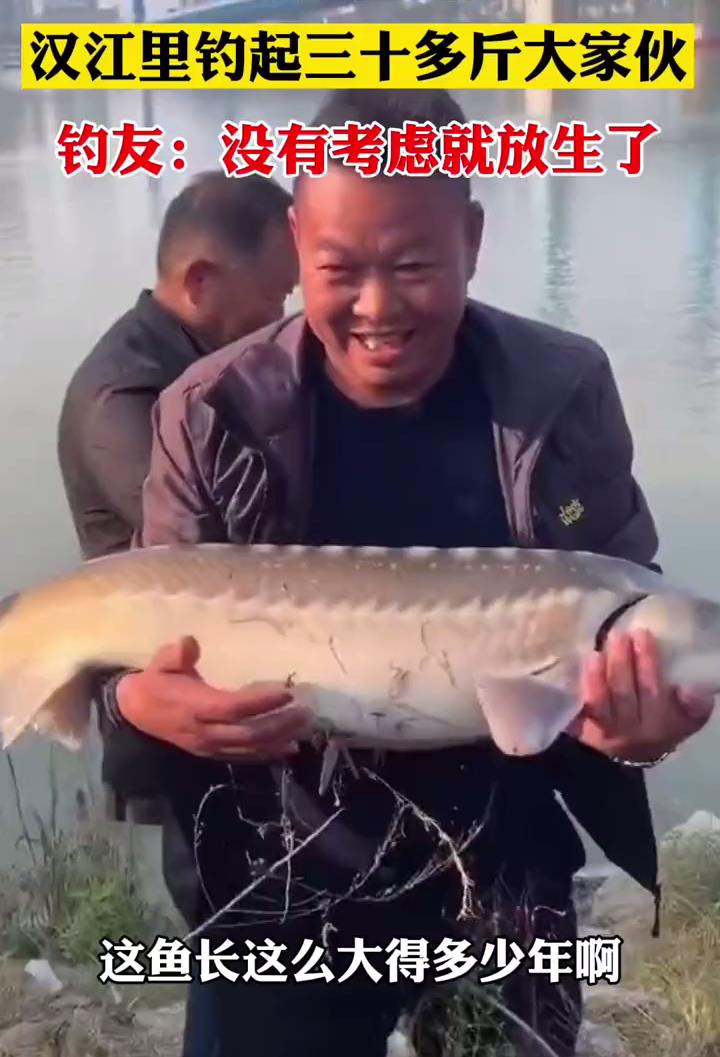 男子钓到“中华鲟”引热议,专家称是外来鲟,其实真是中华鲟?