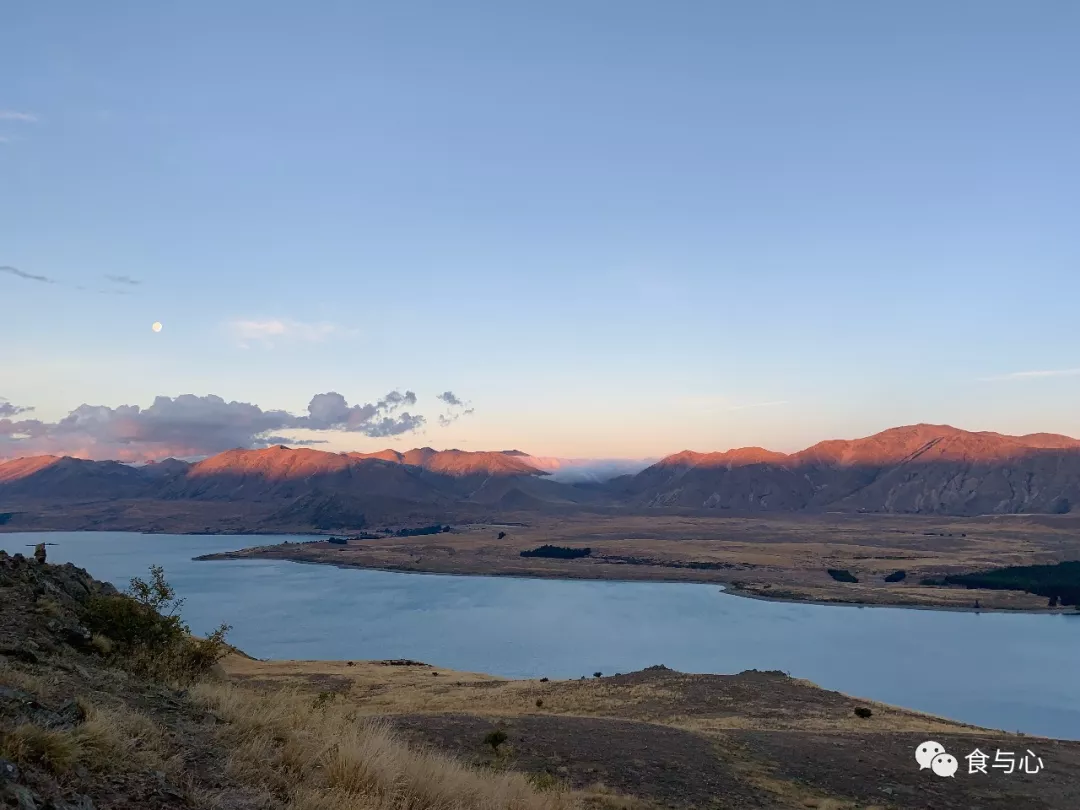 食与心|生活在童话般美丽的国度,新西兰人比中国人更健康吗?