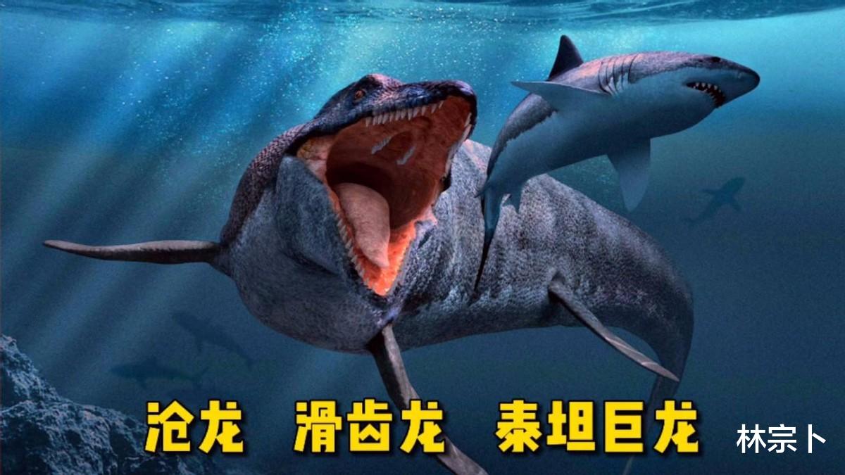 史前十大巨兽排名,超越人类想象,体型有多巨大?