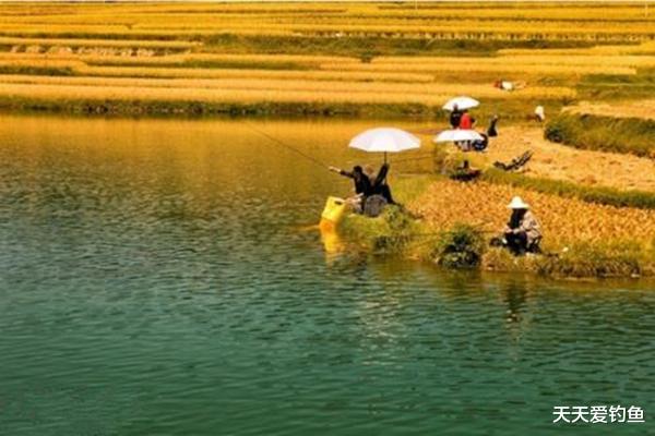 注意力|钓鱼技巧：钓鱼遇上刮风天，经验告诉你，这些风向鱼情更好