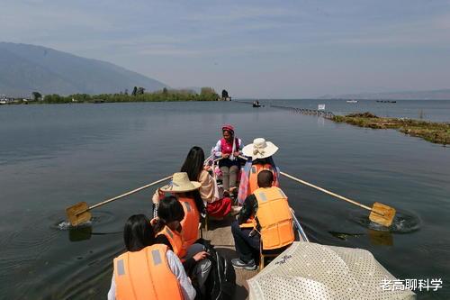 洱海 洱海的“贪心”：2次引入外地鱼，土著鱼崩溃，坐实西瓜换芝麻？