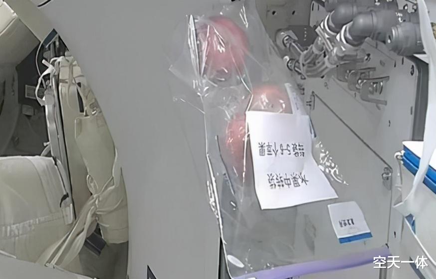 苹果|17000块钱一个苹果,空间站快递运费这么贵,为何不吃点更好的?