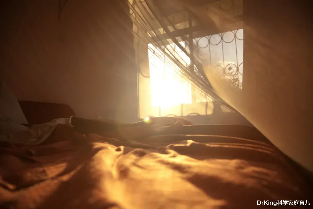 DrKing科学家庭育儿|触目惊心！蚊子传染19006例登革热，秋季严防这种“毒蚊”！