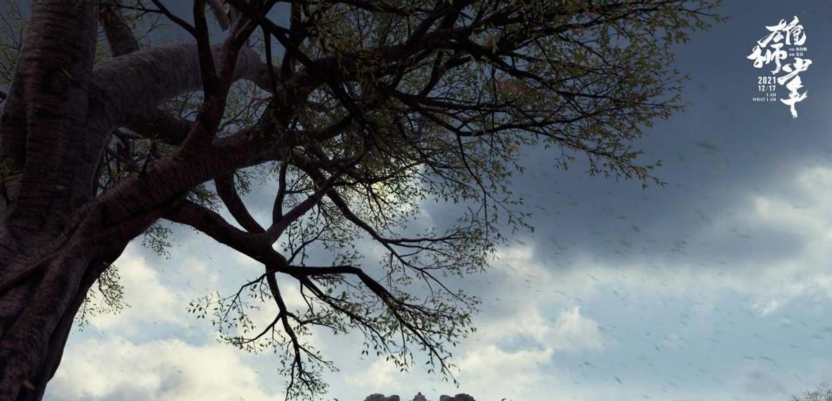 马伊琍|想不到接近年底，竟然等来了真正的年度最佳