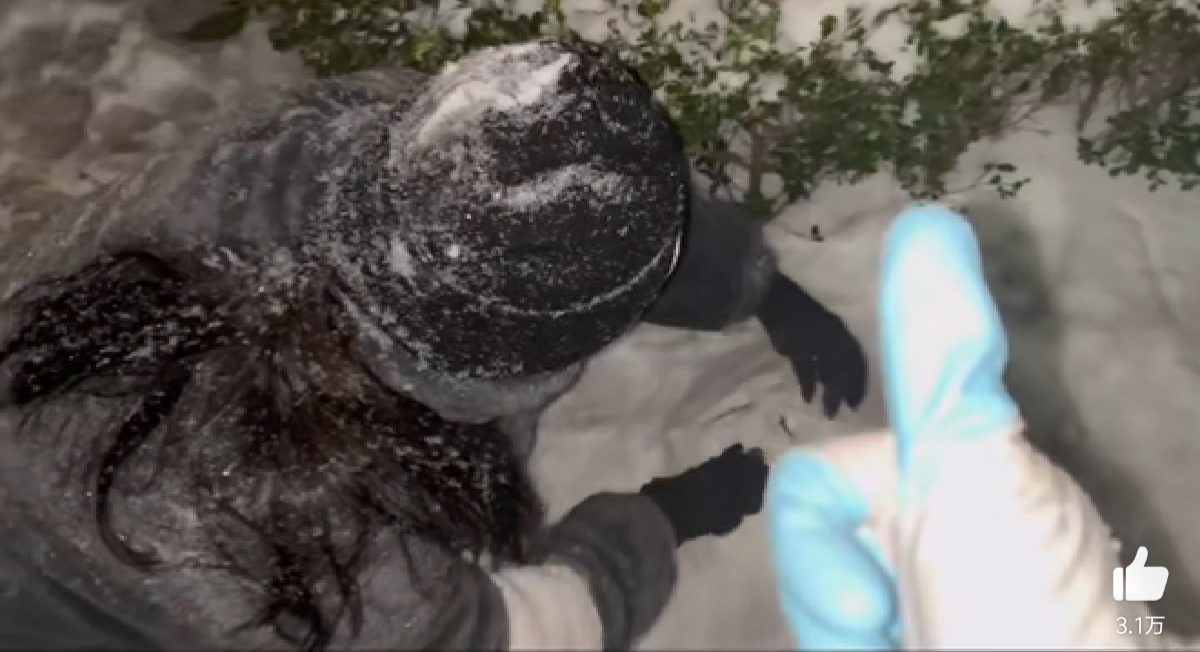 王菲|张靓颖玩堆雪人，小脸冻得通红，疑似男友声音出镜，还对着镜头竖起大拇指