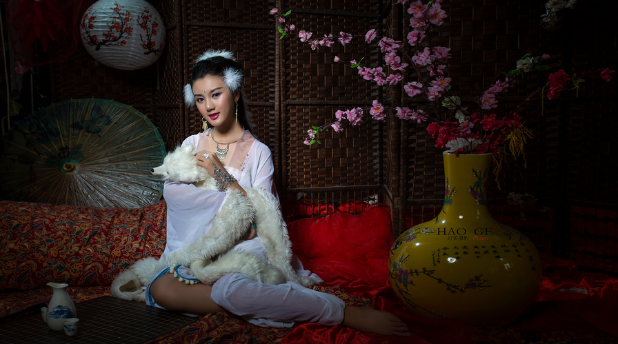 春夜雨无声|“毛狐”思凡尘