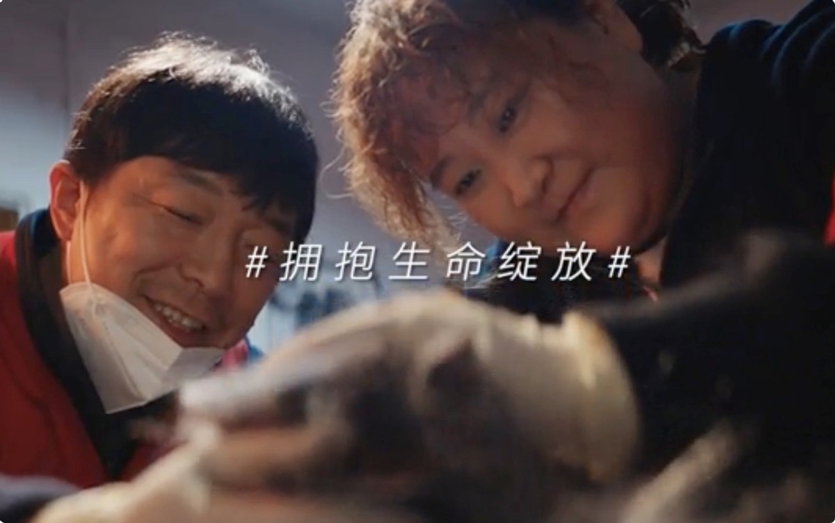 张天爱|上映4天，票房大破5亿！影帝黄渤这部热血大片，来“轰炸”影圈了