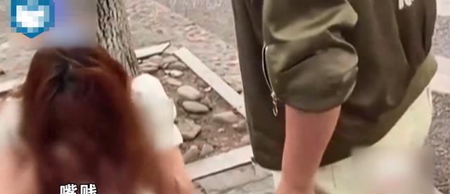 酸菜就大饼 “打的就是你,嘴贱”美女酒后打车,在车上做出不雅动作被司机打