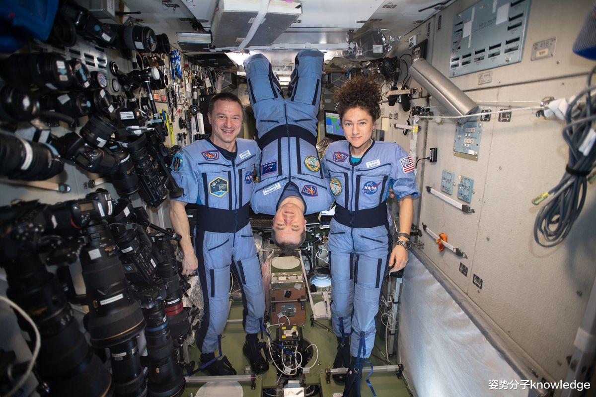 宇航员登陆火星,宇宙辐射怎么办?科学家准备祭出真菌