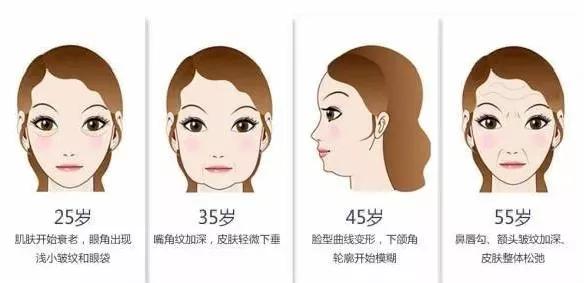 小美说美|面部三八线是指什么