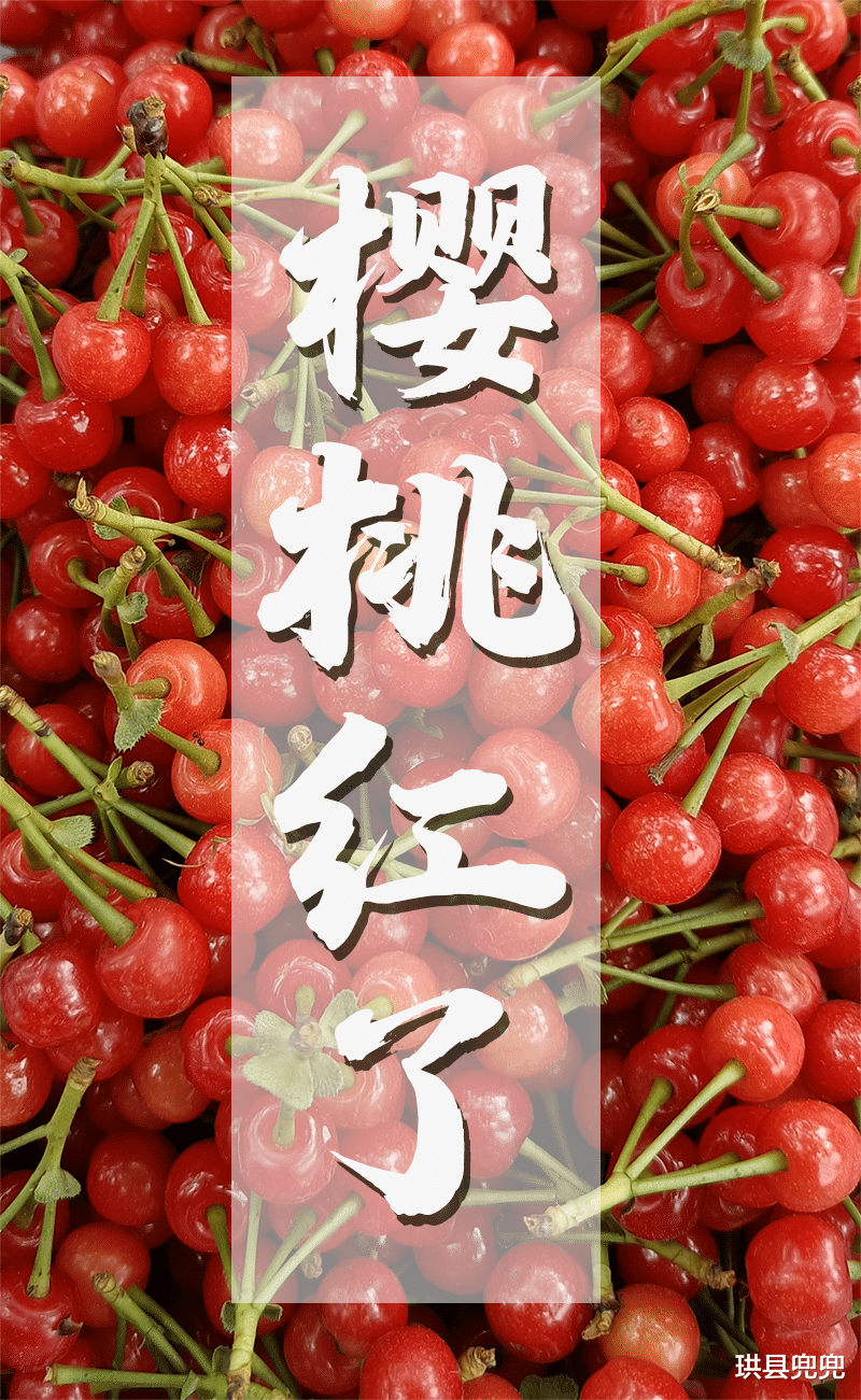 珙县兜兜 红了！熟了！宜宾周边樱桃采摘攻略来啦！现在去正好！