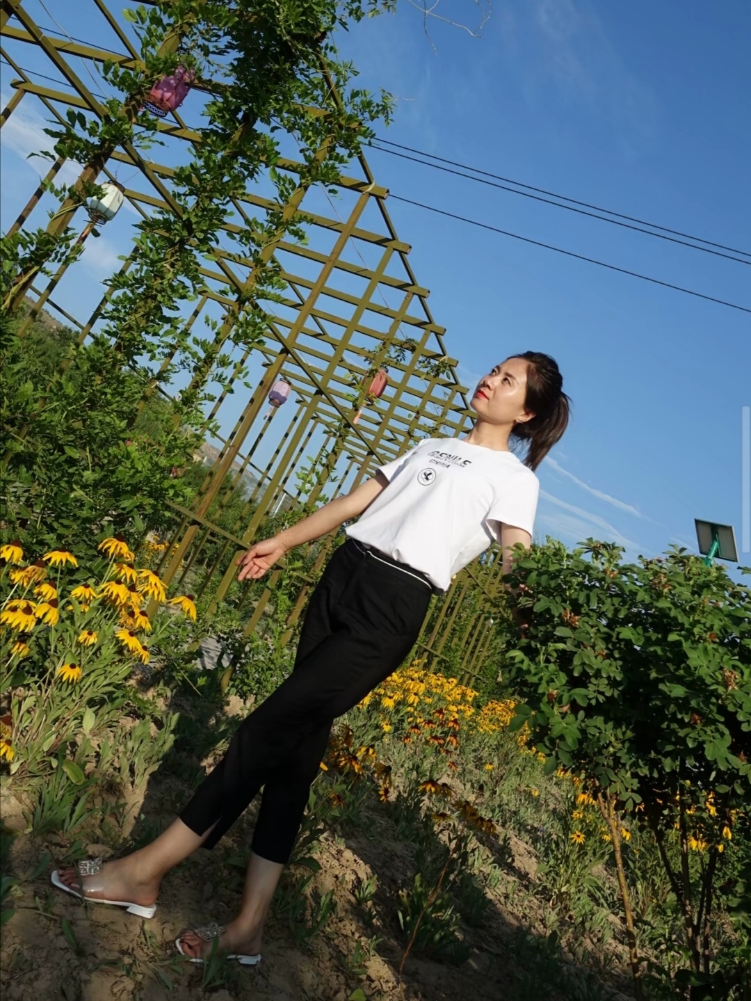 27君|野外郊游，七分裤加上T恤衫，文文静静！