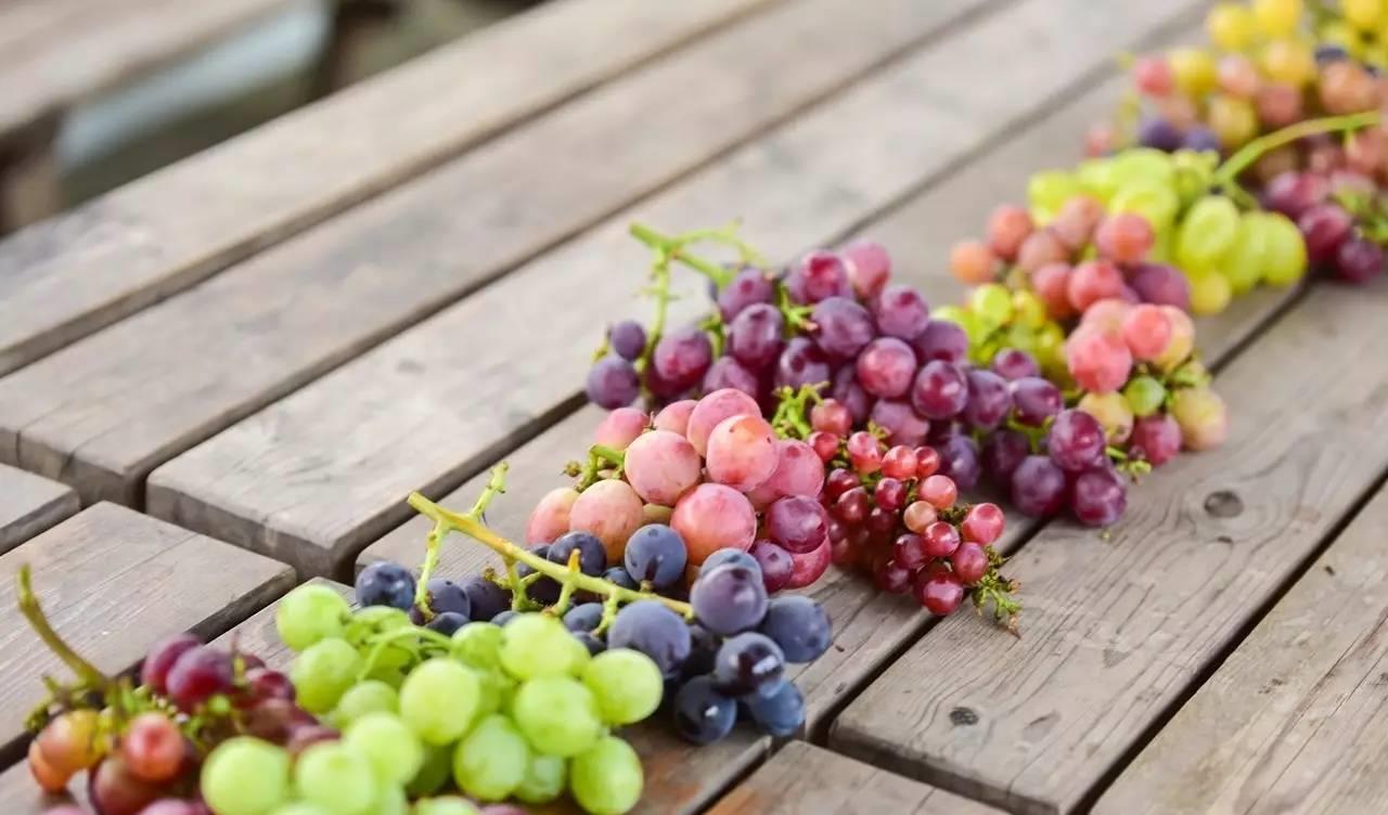 糖尿病|建议:不管有钱没钱,8月别错过这五种水果,营养美味身体棒