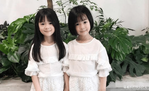 草莓妈的快乐时光 双胞胎姐妹从小走散，20年后重逢差距太大，站在一起像母女