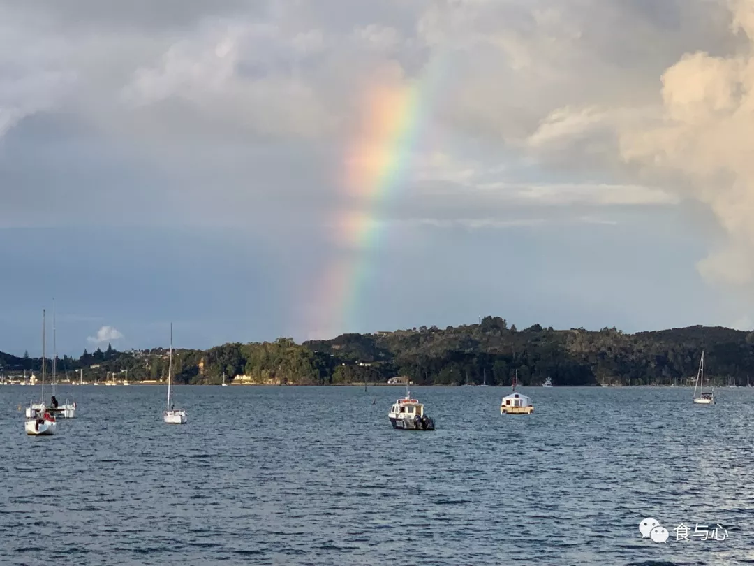 食与心|生活在童话般美丽的国度,新西兰人比中国人更健康吗?