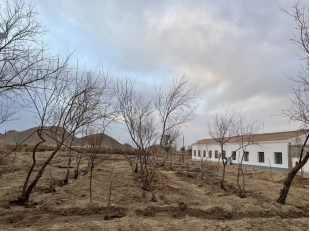 额济纳旗广播电视台 东风镇宝日乌拉嘎查开展主题党日活动