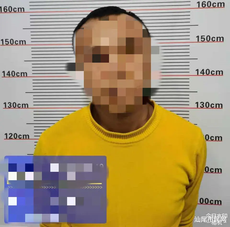 蔡某被抓捕归案...