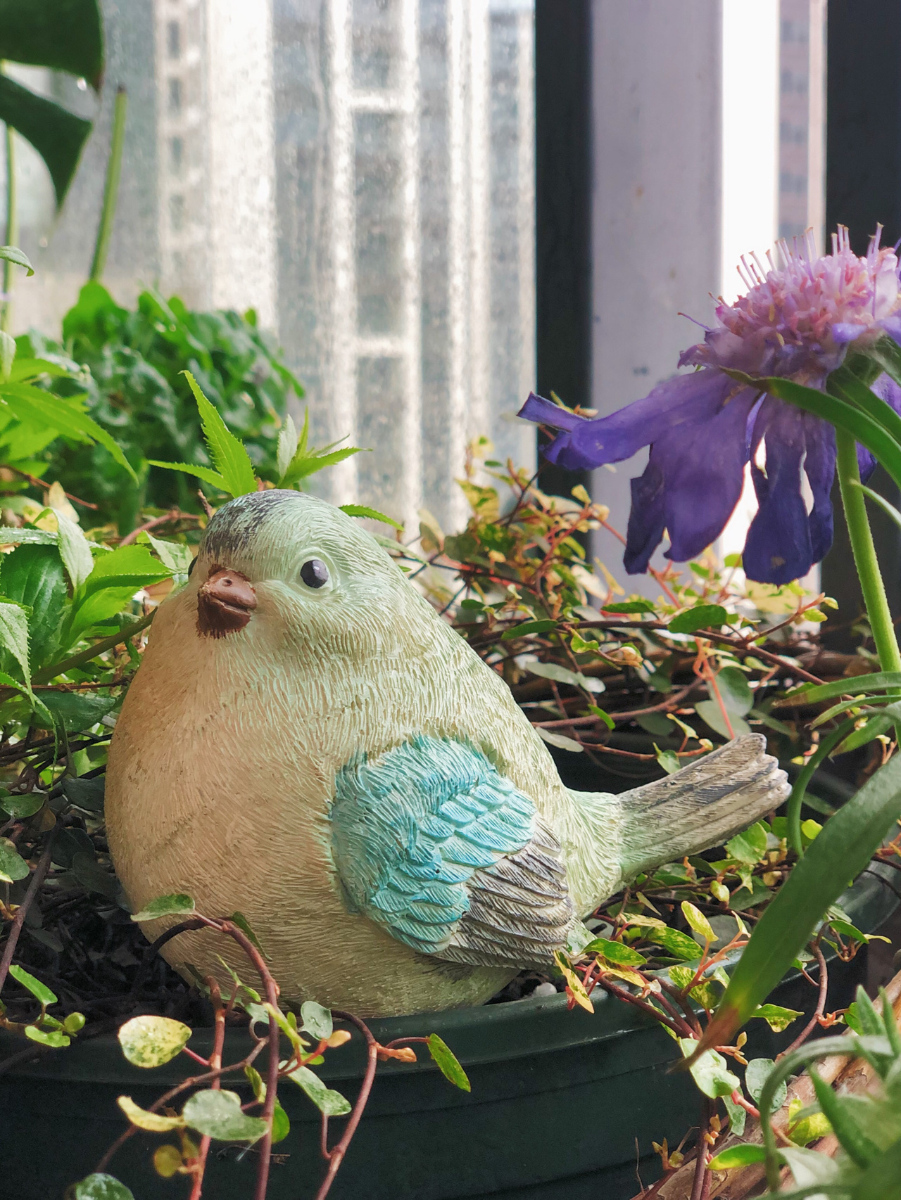 3.3㎡迷你阳台“造花园”，没想到小小阳台能这么漂亮，太喜欢了