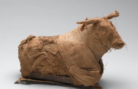 活生生就被制成木乃伊！扫描木乃伊的结构后，才发现真相有多残忍