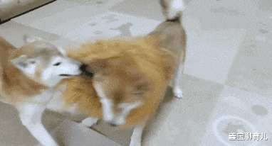 鑫宝聊育儿|“女友在酒店给我拍回来照片，但就感觉不对劲！”我是不是危险了哈哈哈