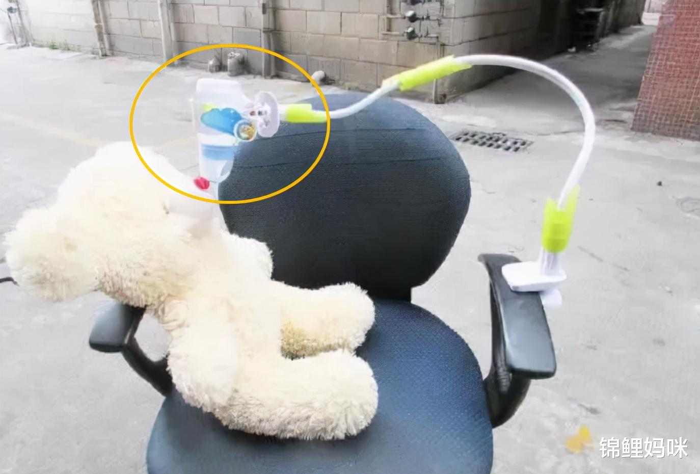 锦鲤妈咪|宝爸用支架给娃喂奶,被宝妈打了一顿,网友:做了我没忍心做的事