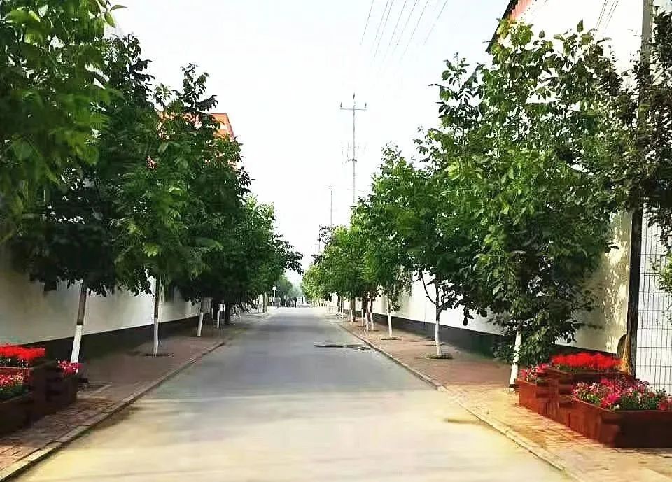 任泽区快报 武计东：辛苦耕耘为民生，做好群众贴心人