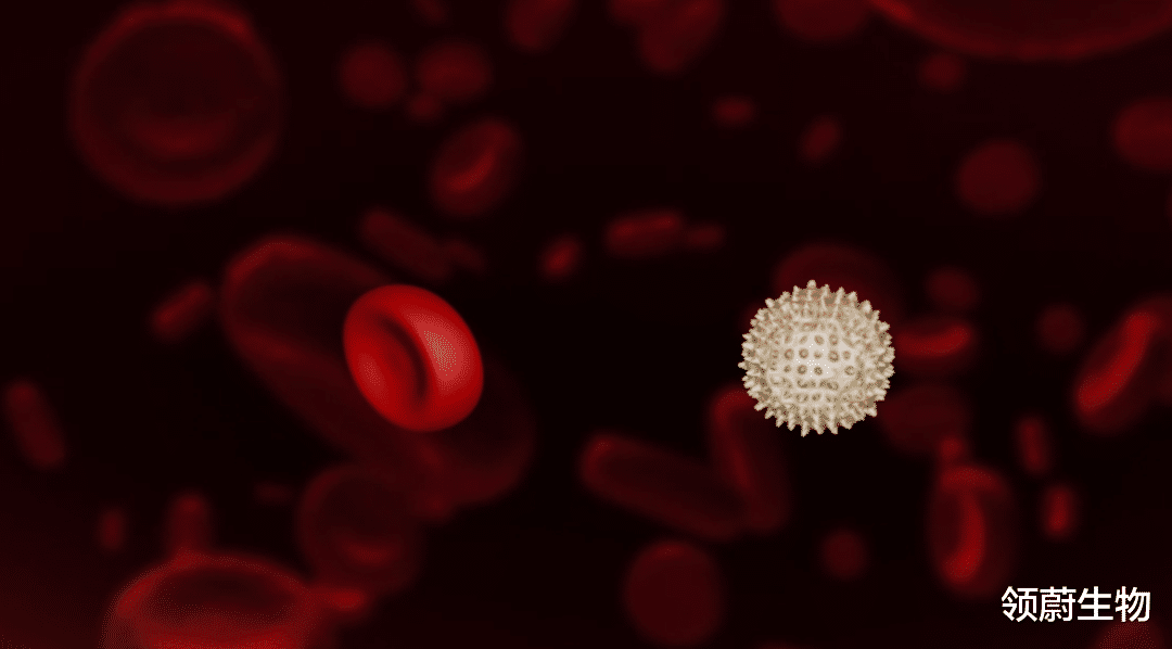 领蔚生物|CAR-T疗法为何使用自己的细胞更好？《Nature》子刊研究给出答案