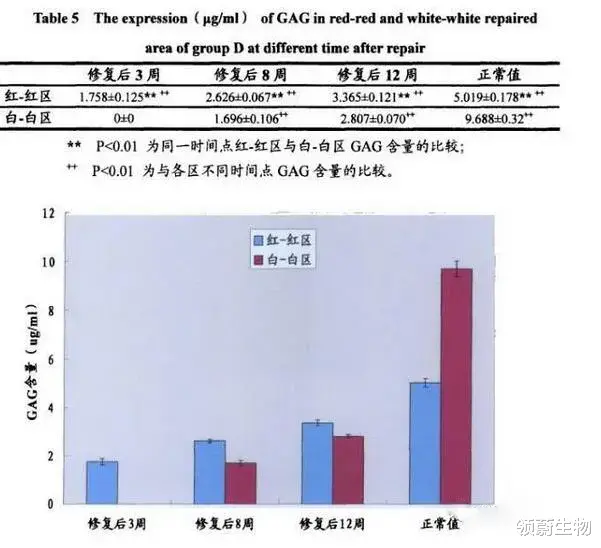  用干细胞来修复半月板损伤或是未来趋势