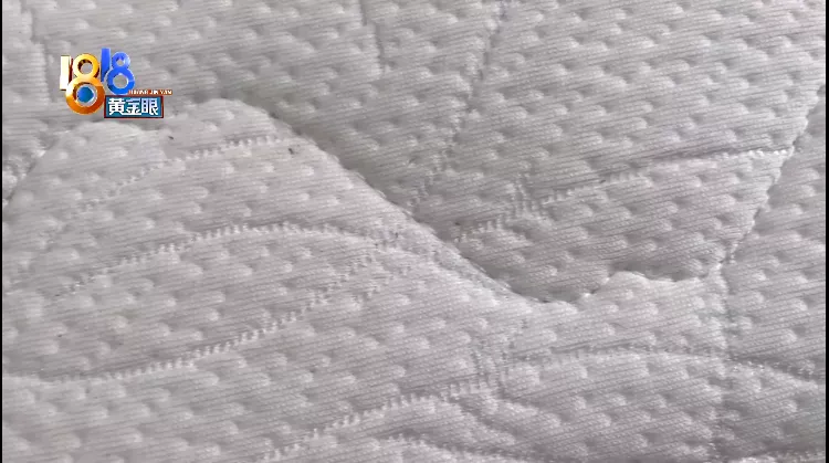 淄博|“大自然”换过床垫，再次发现小黑点