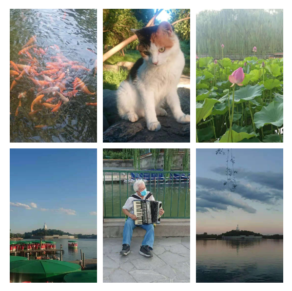 |（16）我相信，我爱你你也会爱我