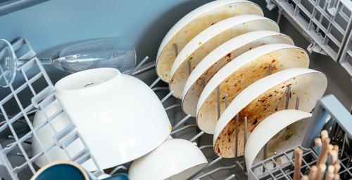 白菜|4小时不洗碗等于“吃毒”，是真的吗？研究结果公布，早知早获益