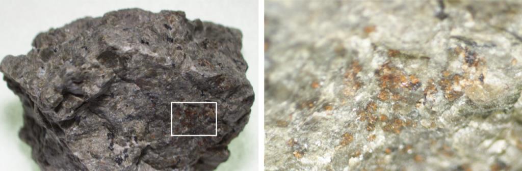 基因 火星上或许真的存在生命！科学家实验勘测火星，或将改写人类认知