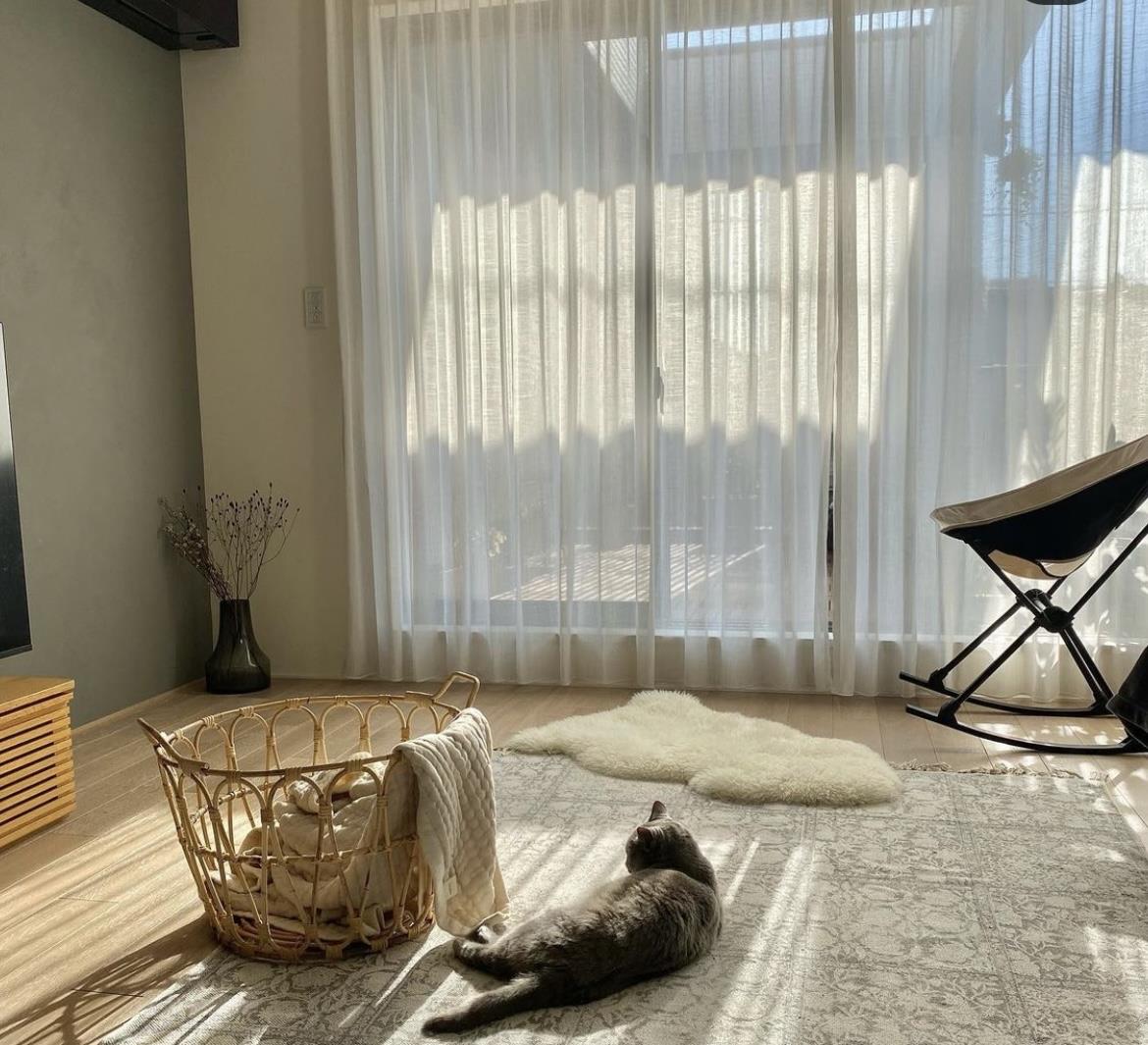 发现一51岁日本阿姨的家,全屋温暖治愈,精致家居场面惹人羡慕!