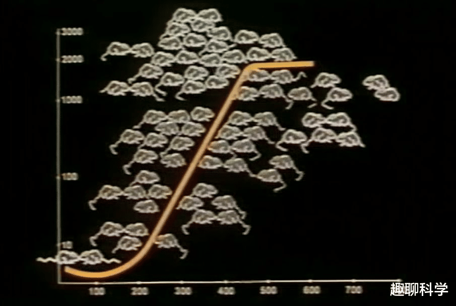 埃博拉疫情 “25号宇宙”实验，科学家用老鼠模拟人类乌托邦，结果无法接受
