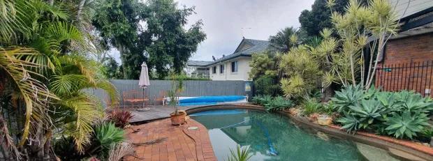 考考你的眼力:蛇到底藏在哪里,你能找到它吗?