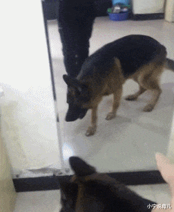 小宁说育儿|“新来的电工,已经站这一个多小时了,他怎么了?”